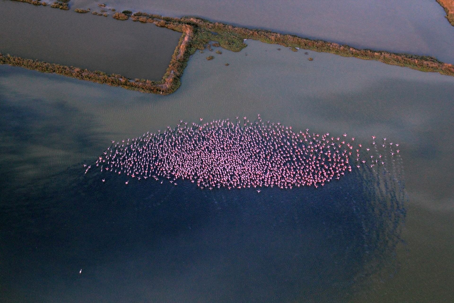 Parco Delta del Po | © Archivio Cervia