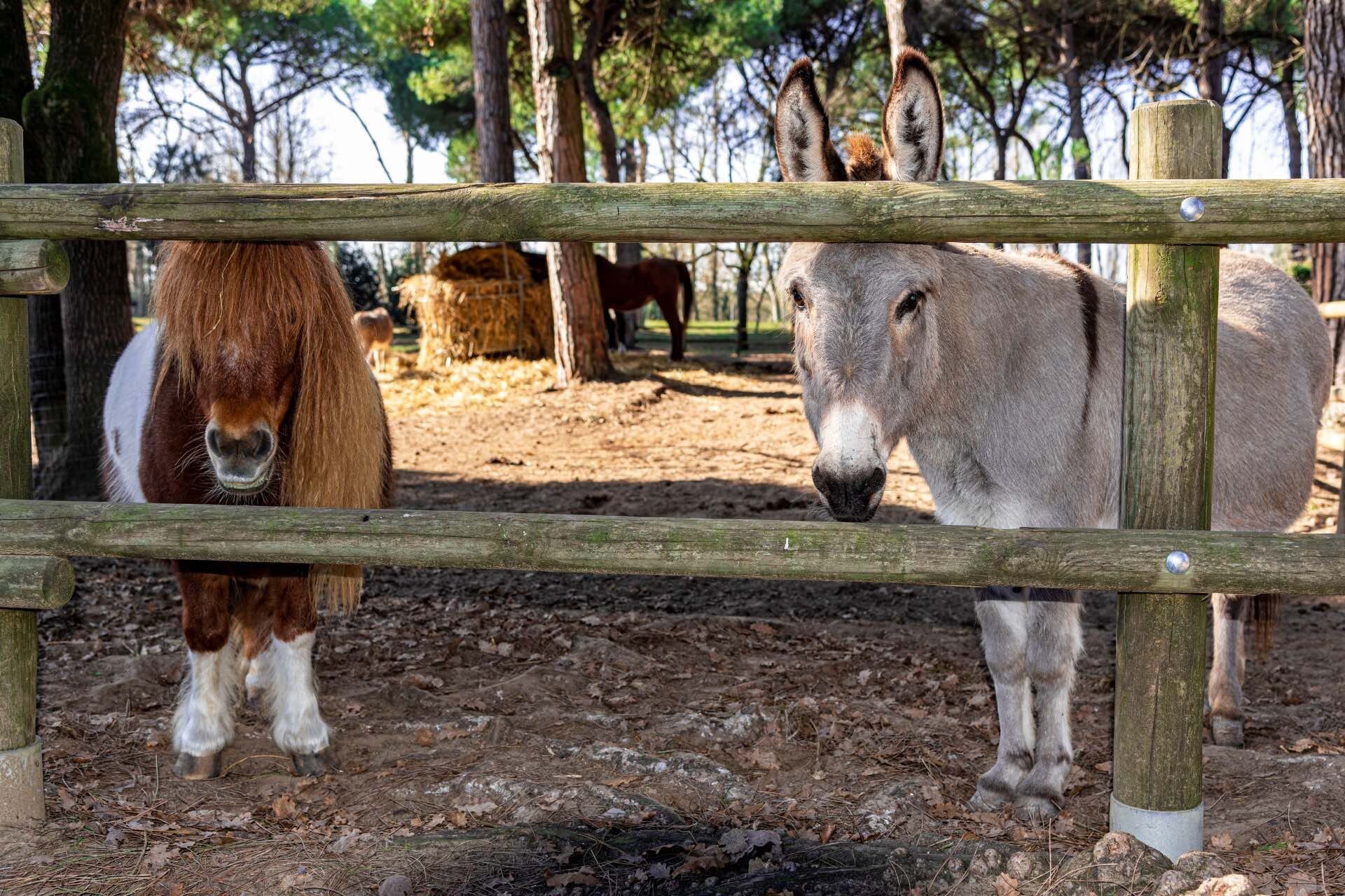 Parco Naturale | © Dany Fontana