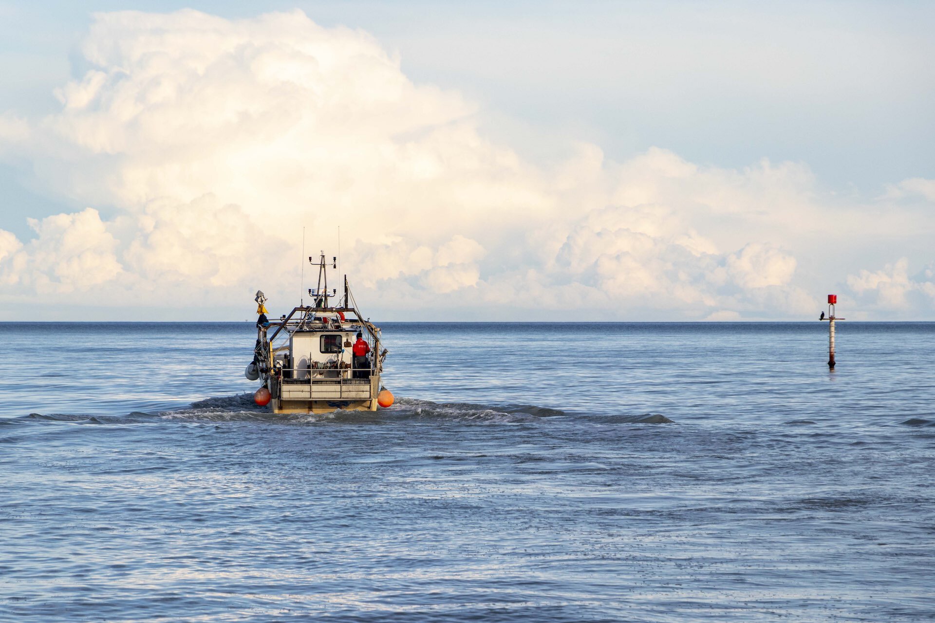 Il pesce dell'Adriatico | © Gruppo Fotografico Cervese