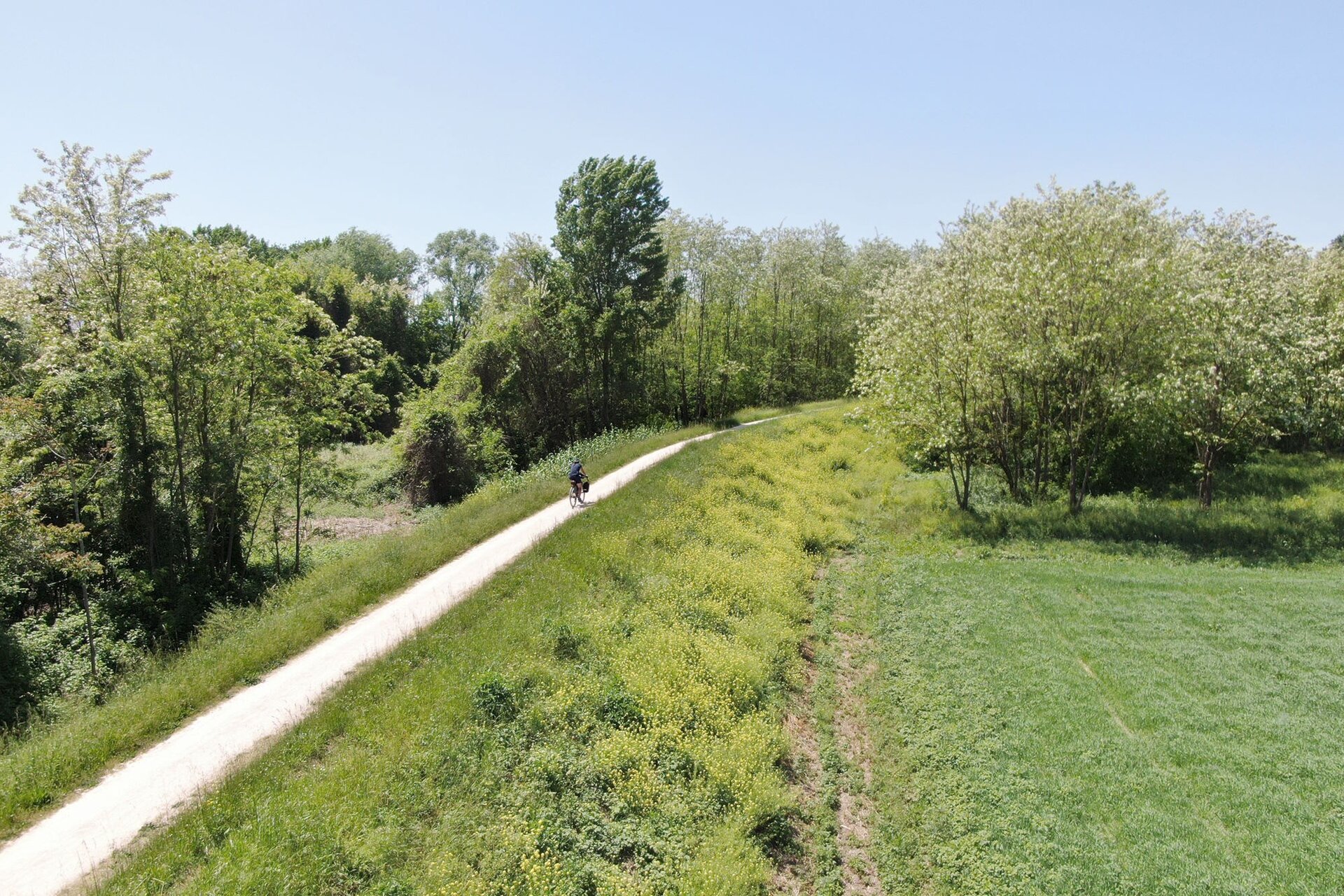 Cervia Gravel Bike