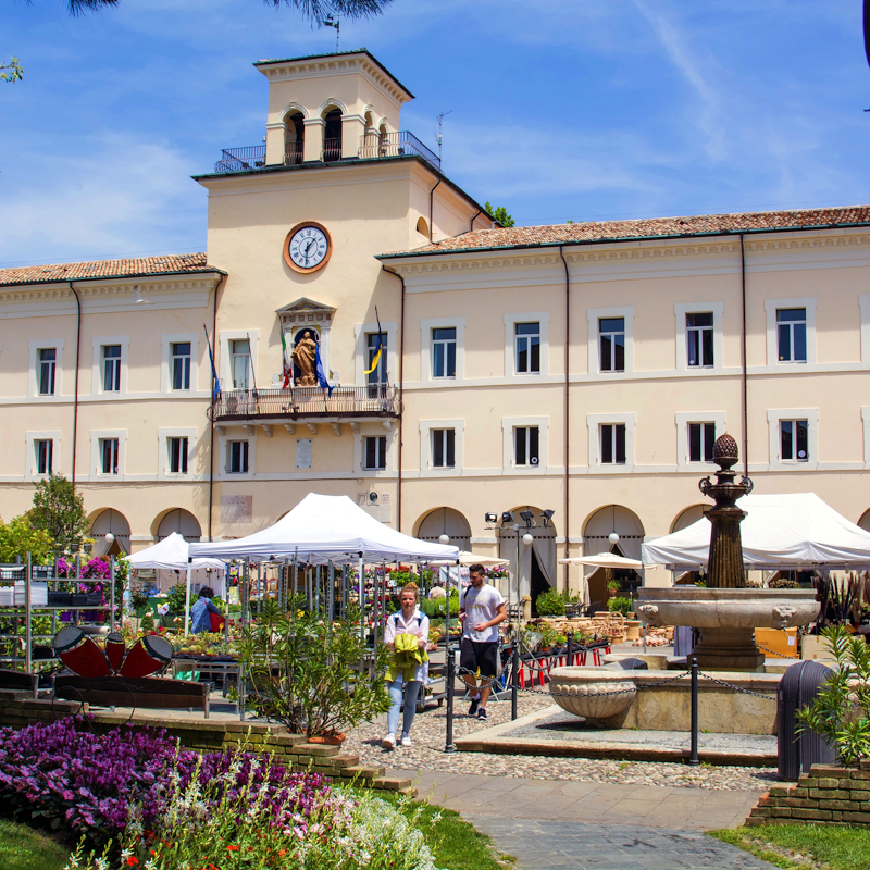 Verde Mercato - Cervia