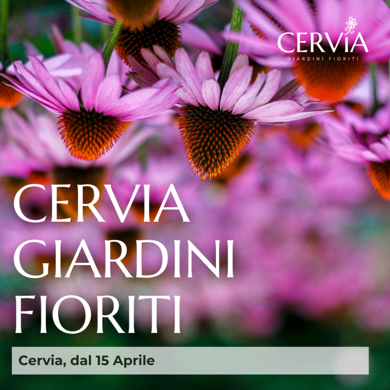 Cervia Giardini fioriti