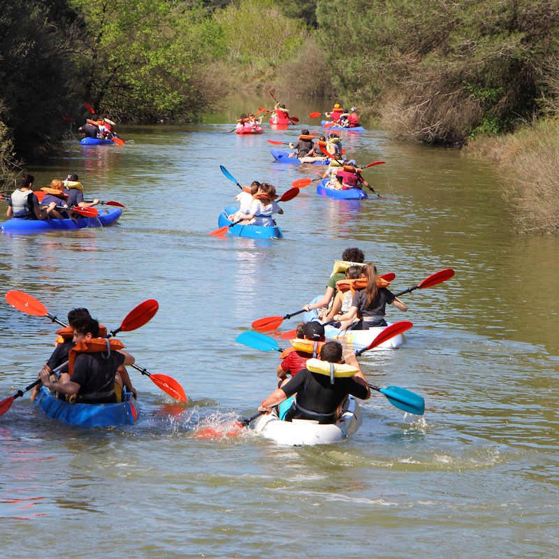 Canoa in pineta | © Francesco Benazzi