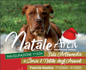 Natale Arca | © Arca 2005