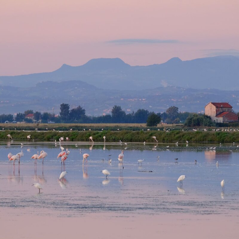 Salina di Cervia | © Circolo 24x36