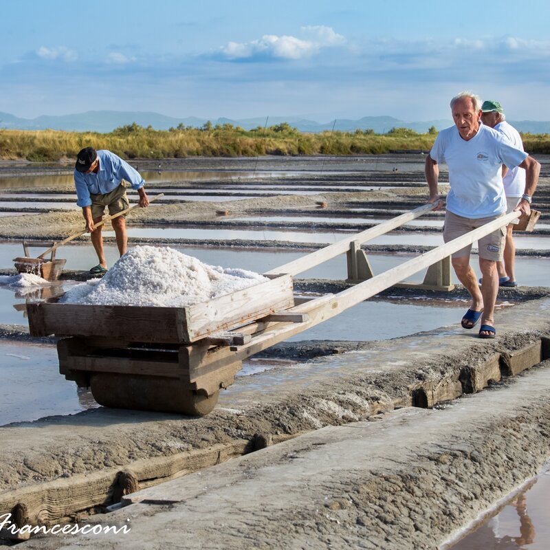 Cervia - Salina Camillone | © Paolo Francesconi