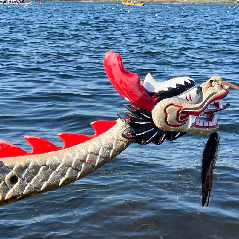 Dragon Boat al Parco della Standiana