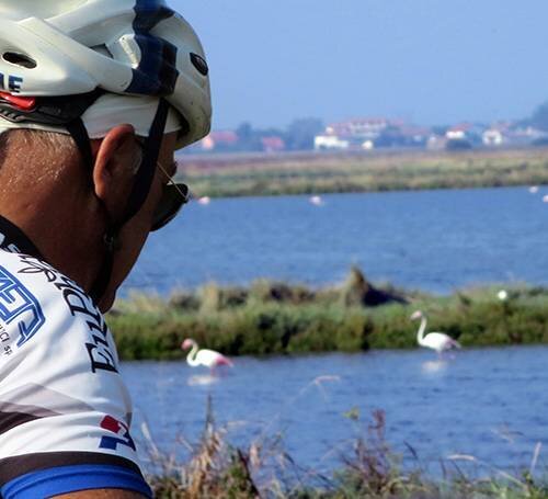 Cervia Blu - Fahrrad-Tourismus