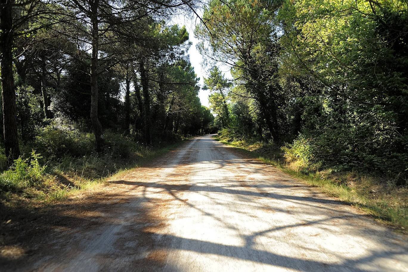 Offerta soggiorno - Cammino La Via Romea-Germanica. La variante del mare