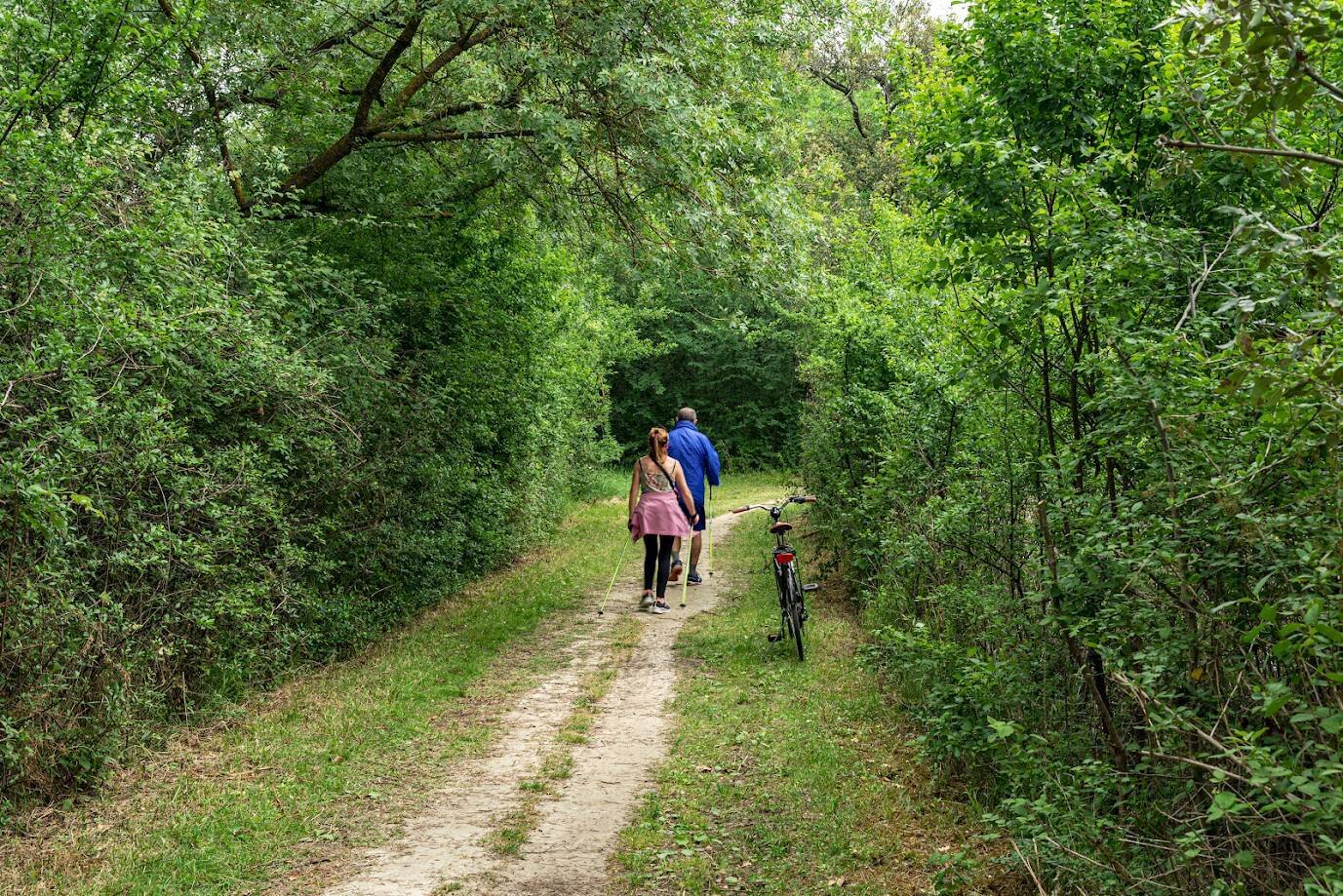 Offerta soggiorno - La scoperta del Cammino della Via Popilia: Natura e storia tra Cervia, Lido di Savio e Classe